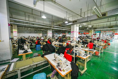 郑州西四环纺织服装产业带15年裂变 有企业从顶流成老赖,有企业年销10亿